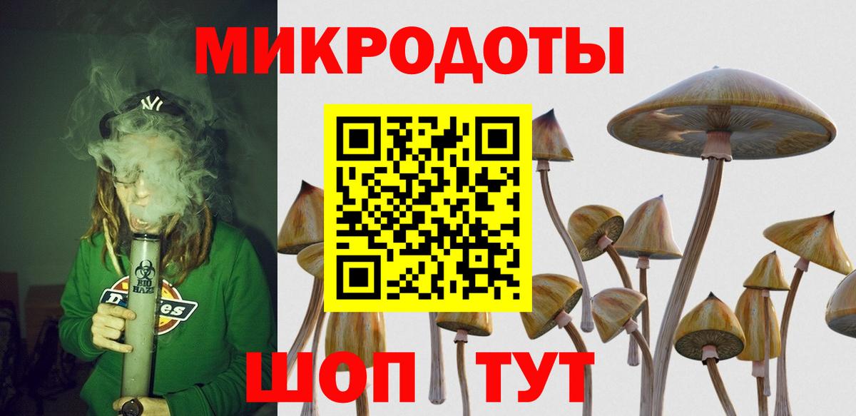Петропавловск-Камчатский  Псилоцибиновые грибы MAGIC MUSHROOMS  Вход с VPN  Псилоцибиновые грибы мицелий 